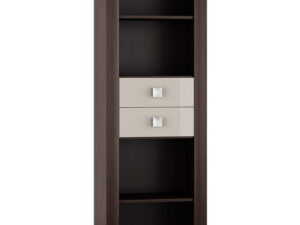 Nowoczesny Regał ART11 Carla – Funkcjonalność i Styl w Jednym!